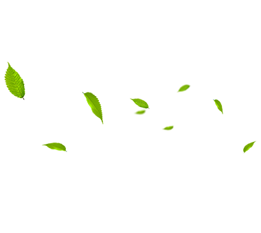 MHL Power Dongfang Boiler Co. ، Ltd. (MHDB)