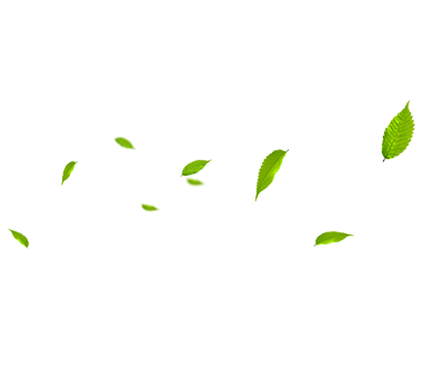 MHL Power Dongfang Boiler Co. ، Ltd. (MHDB)