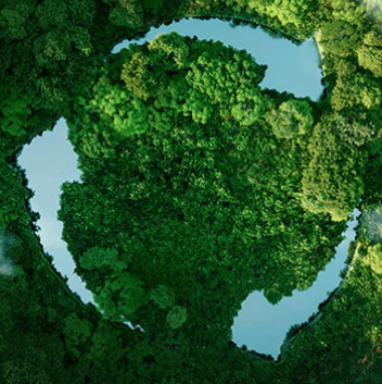 MHL Power Dongfang Boiler Co. ، Ltd. (MHDB)